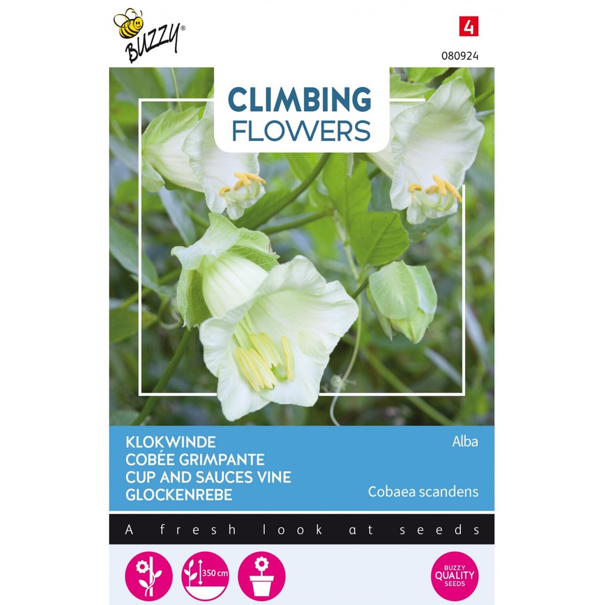 Klokwinde Alba wit Klokwinde Alba wit