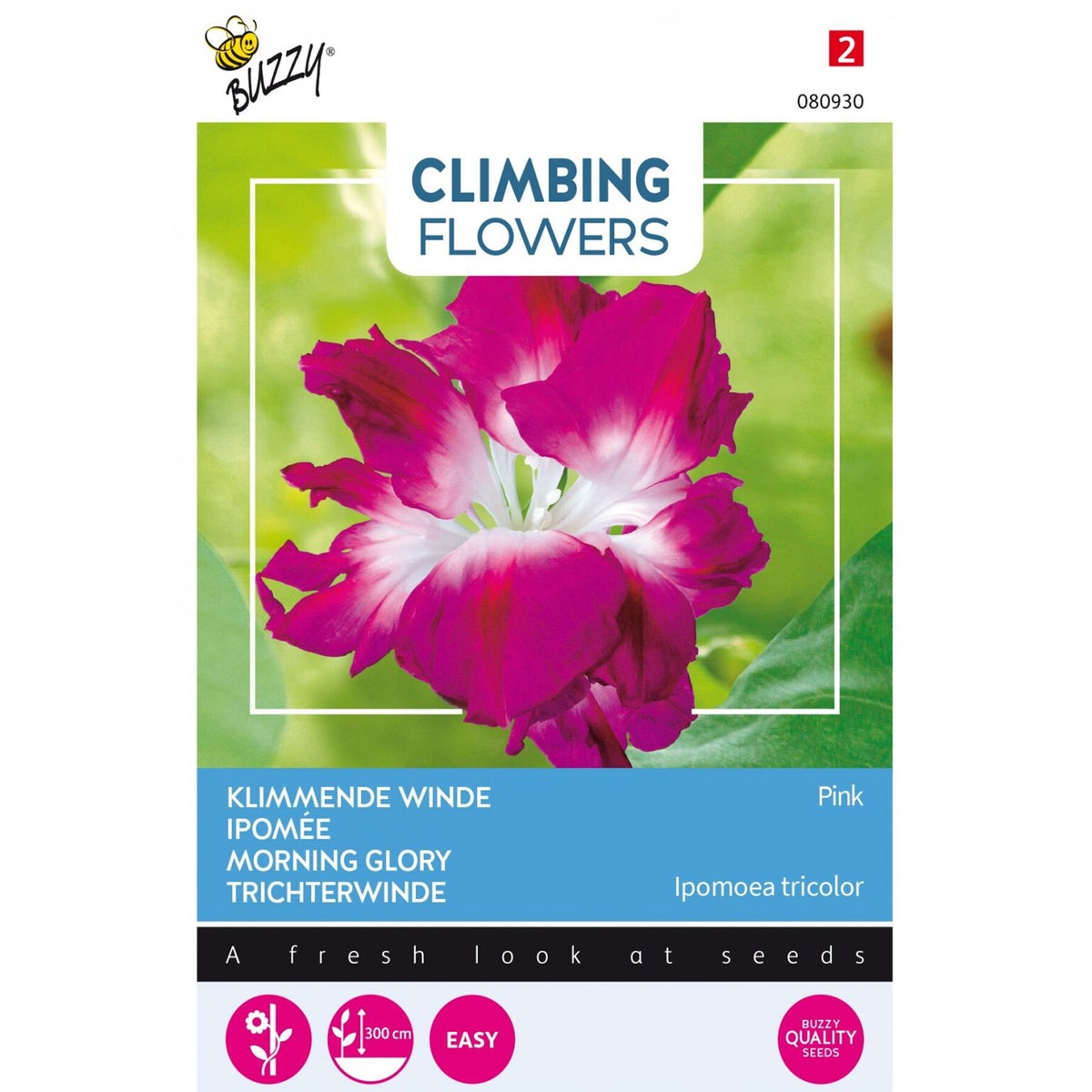 Klimmende Winde dubbel rose Klimmende Winde dubbel rose