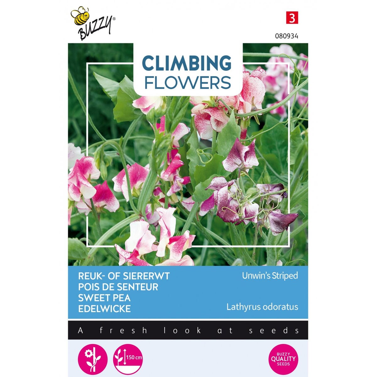 Siererwt Unwin Striped Siererwt Unwin Striped