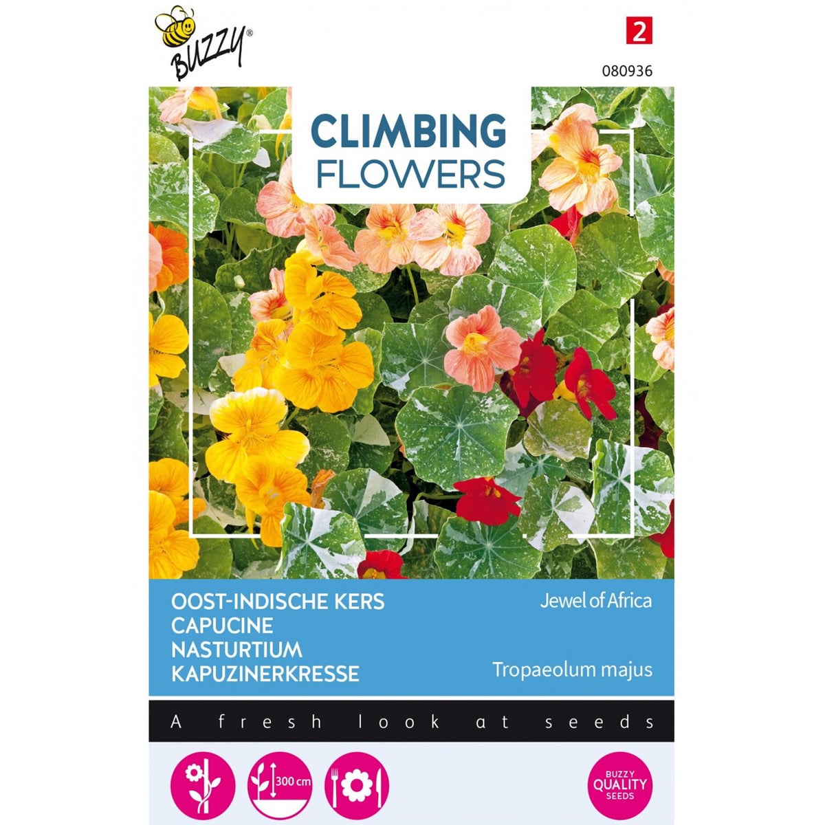 Oost-Indische Kers Majus Oost-Indische Kers Majus