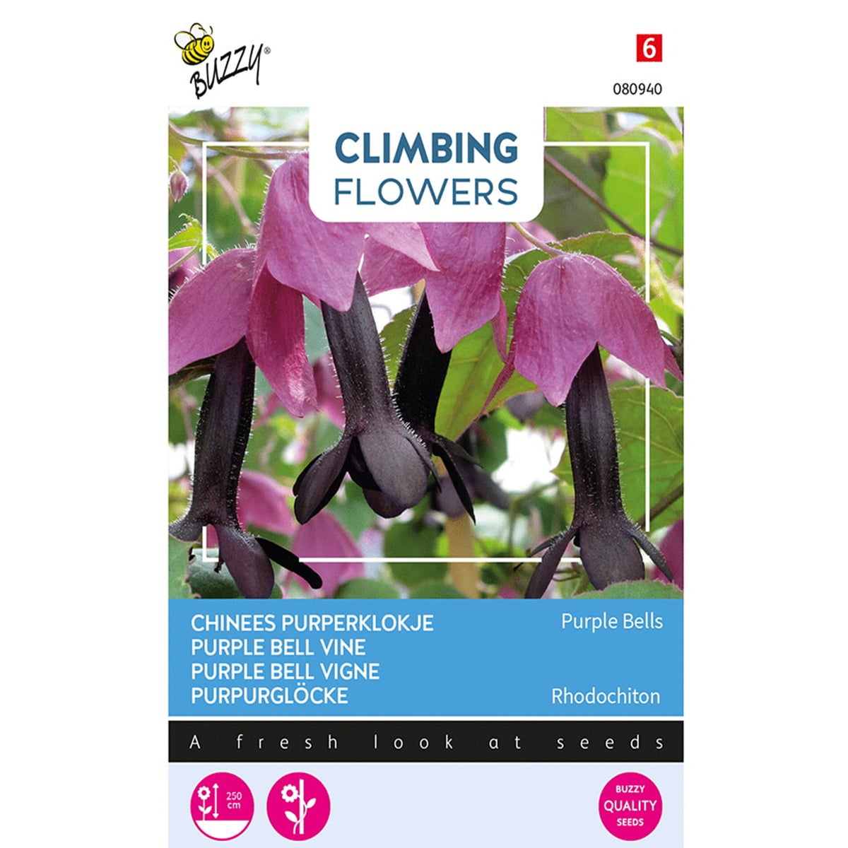 Chinees Purperklokje Chinees Purperklokje