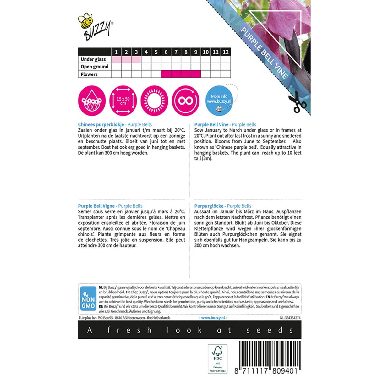 Chinees Purperklokje Chinees Purperklokje