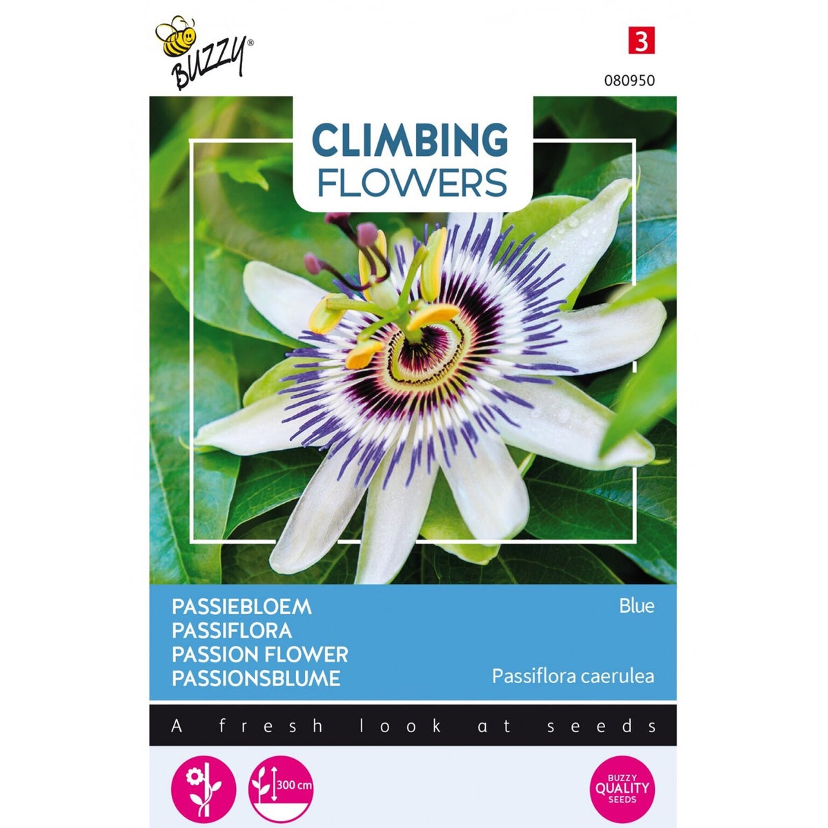 Passiebloem blauw Passiebloem blauw