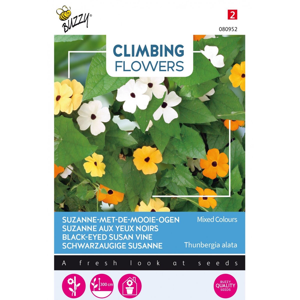 Suzanne-met-de-mooie-ogen mix Suzanne-met-de-mooie-ogen mix