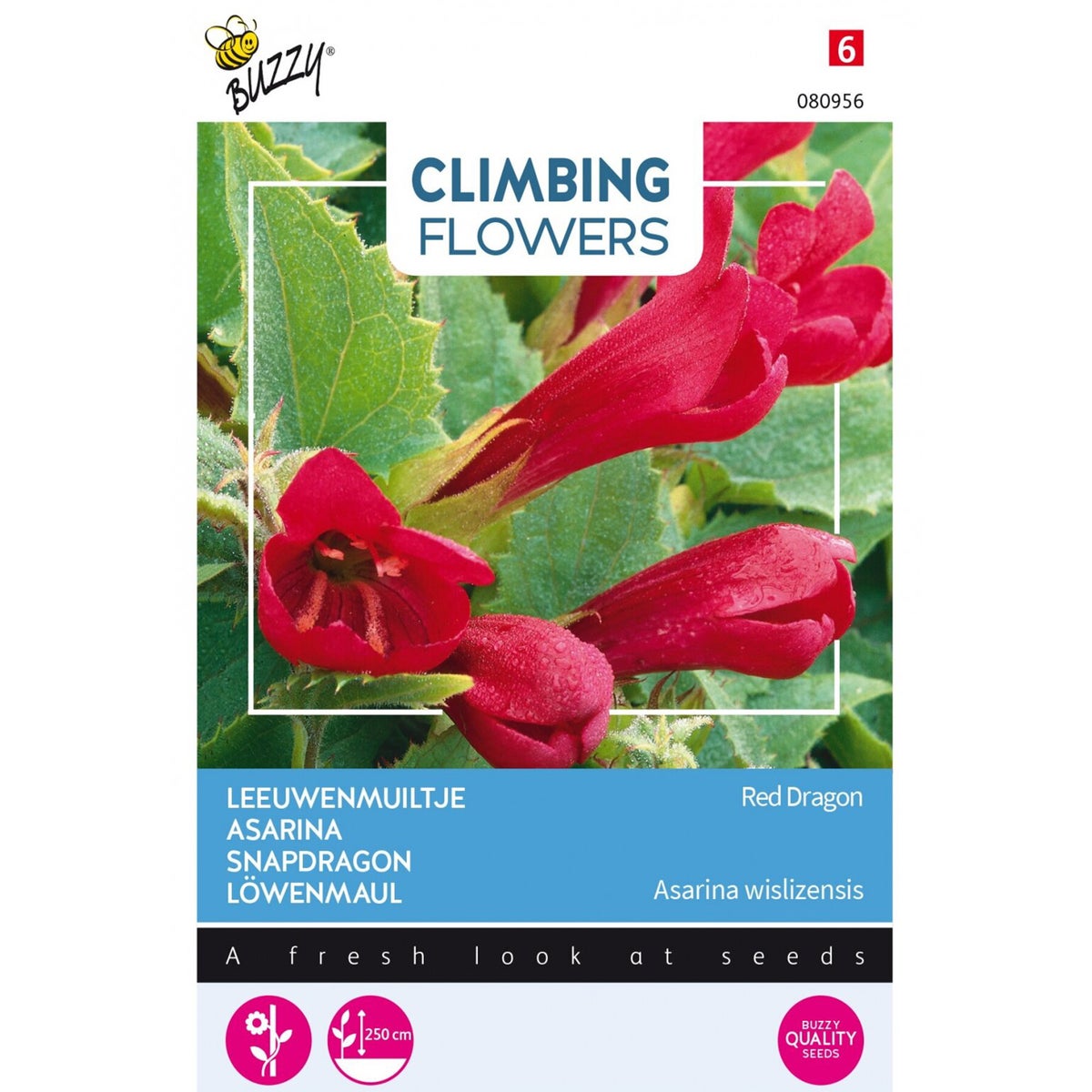 Leeuwenmuiltje Red Dragon Leeuwenmuiltje Red Dragon