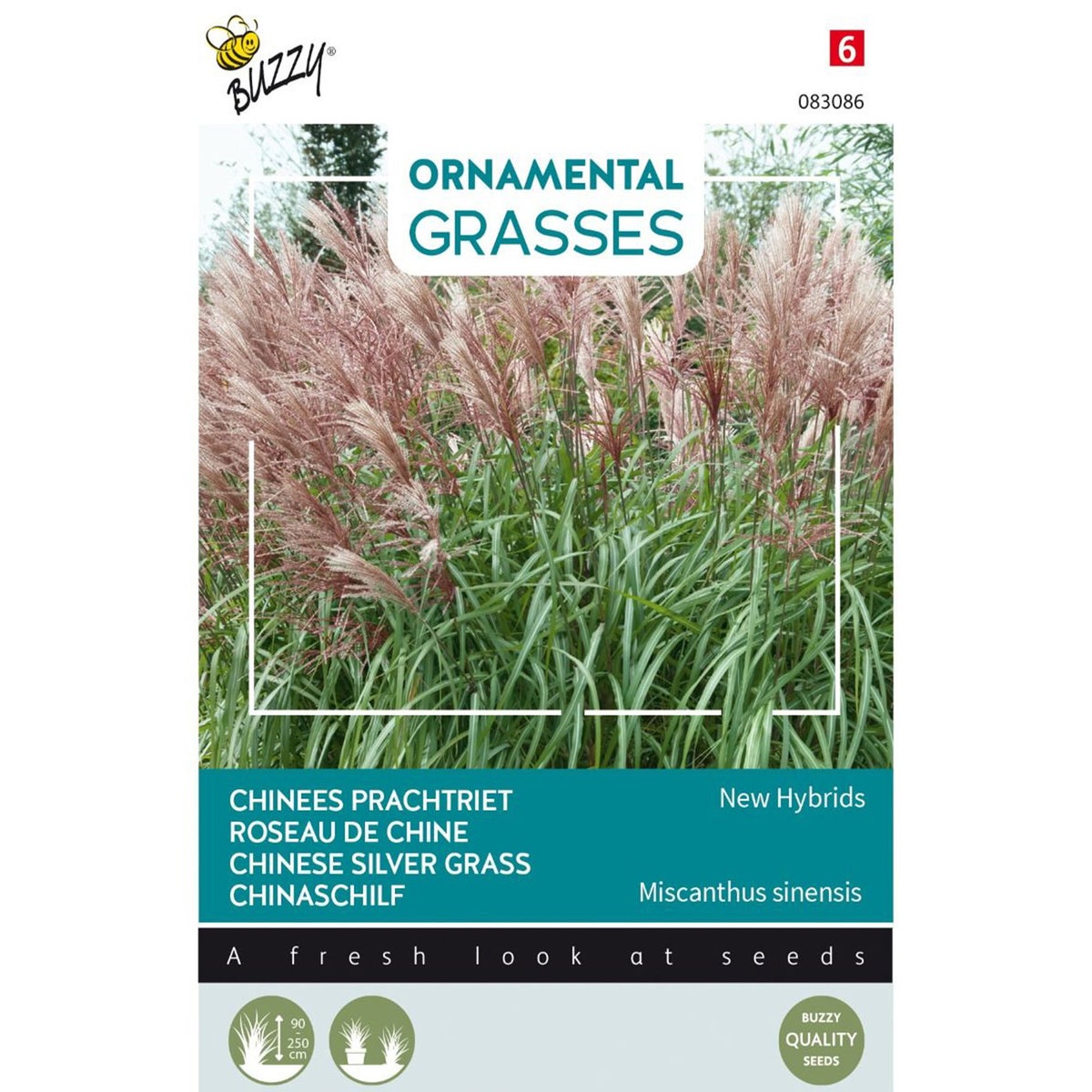 Chinees Prachtriet Chinees Prachtriet