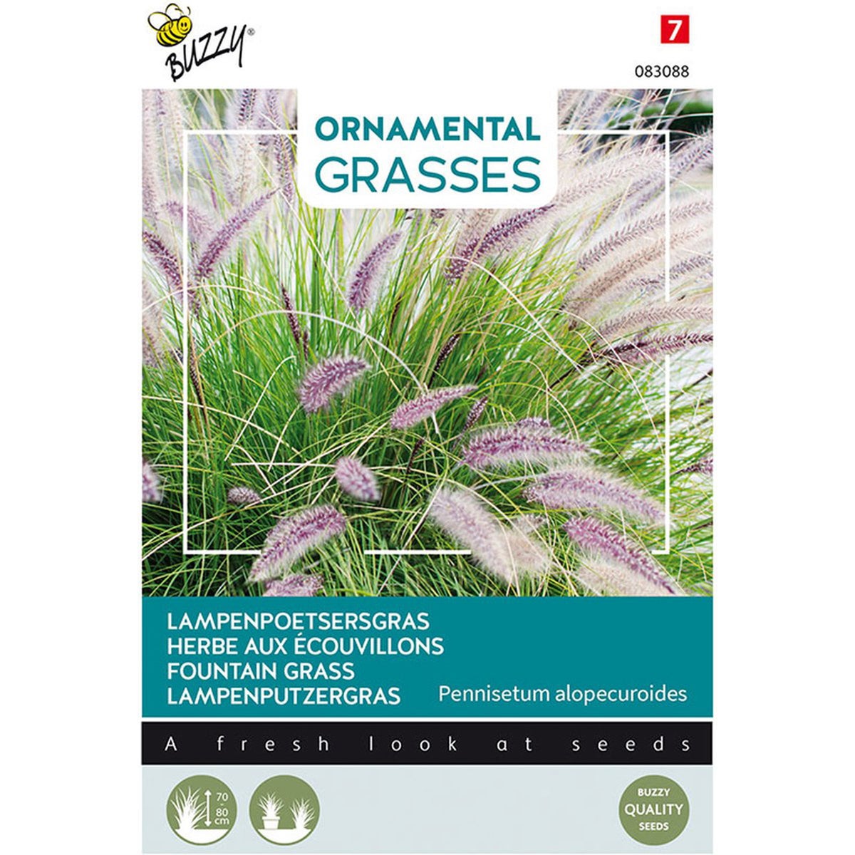 Lampenpoetsersgras Lampenpoetsersgras