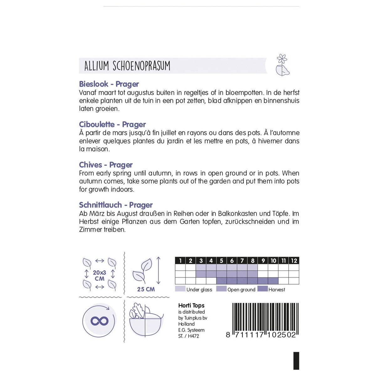 Bieslook prager zaad Bieslook prager zaad