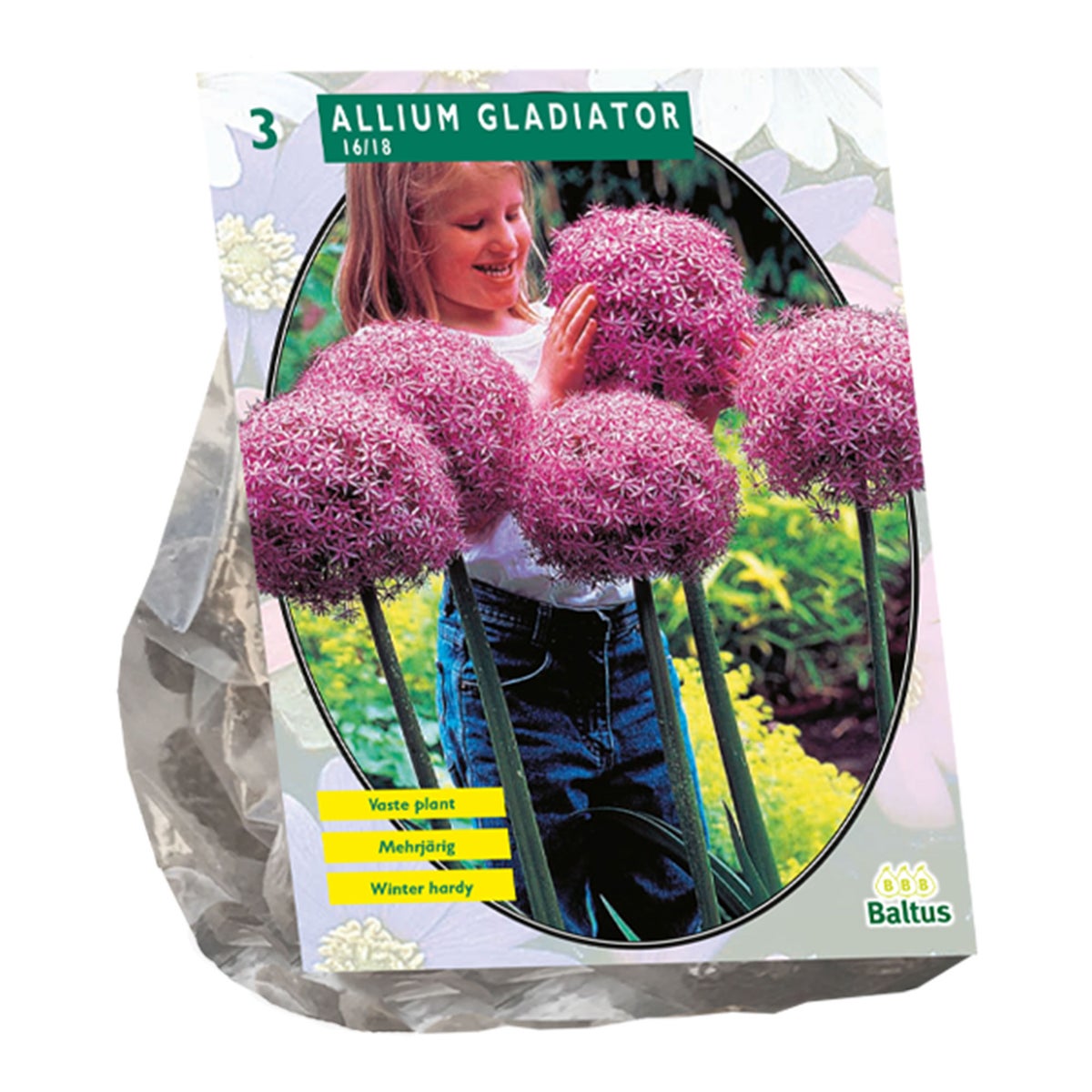 Allium Gladiator His Excellence per 3 Baltus Allium Gladiator His Excellence per 3 Baltus