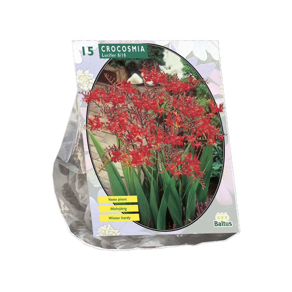 Crocosmia Lucifer per 15 stuks Crocosmia Lucifer per 15 stuks