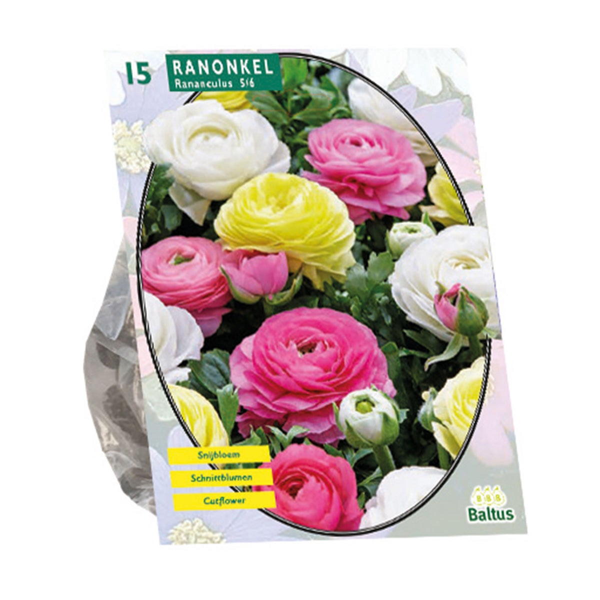 Ranonkel Pastel mix per 15 Ranonkel Pastel mix per 15