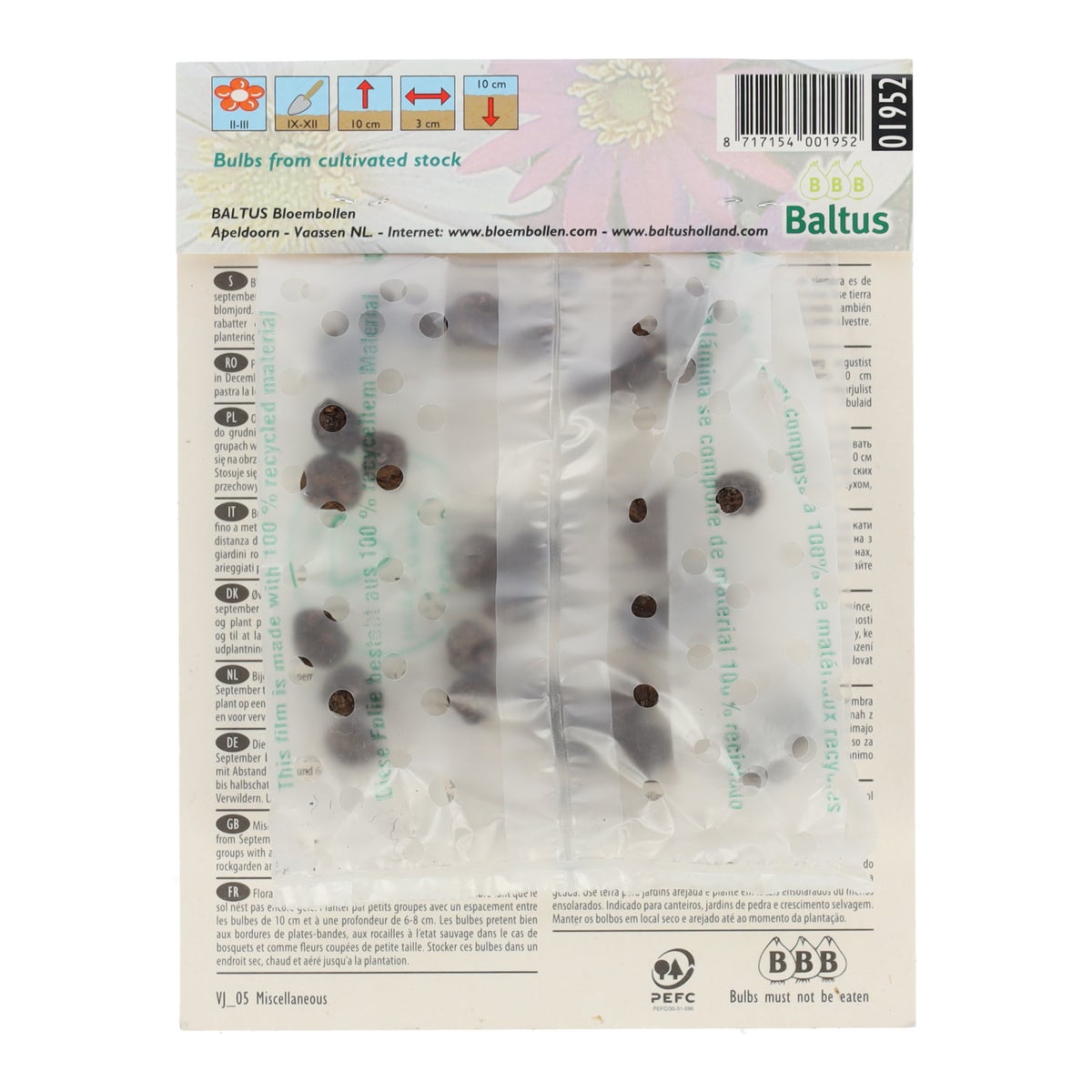 Eranthis Cilicica per 30 Eranthis Cilicica per 30