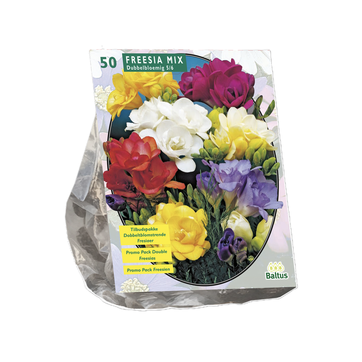 Freesia Mix per 50 dubbel Freesia Mix per 50 dubbel