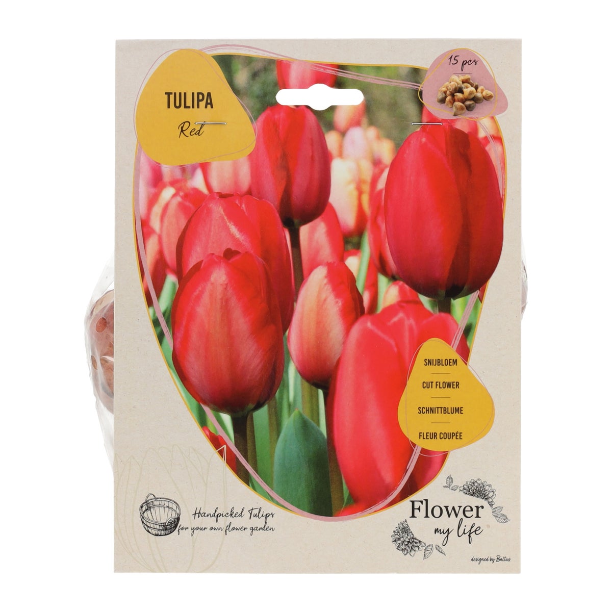 Flower my Life - Red Tulipa per 15 Flower my Life - Red Tulipa per 15
