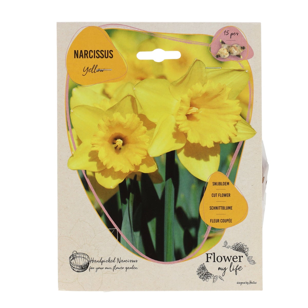 Narcissus yellow 15 stuks Narcissus yellow 15 stuks