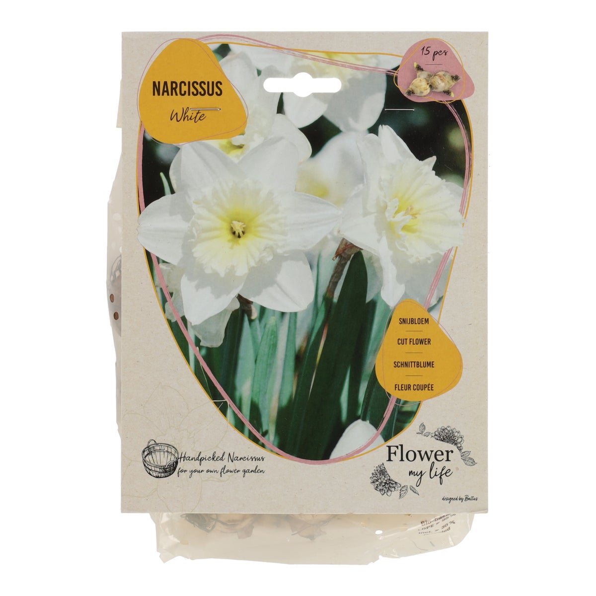 Narcissus white 15 stuks Narcissus white 15 stuks