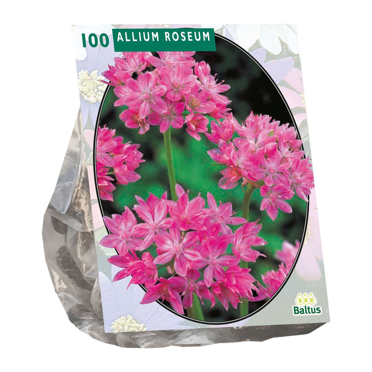 Allium Roseum per 100 Allium Roseum per 100