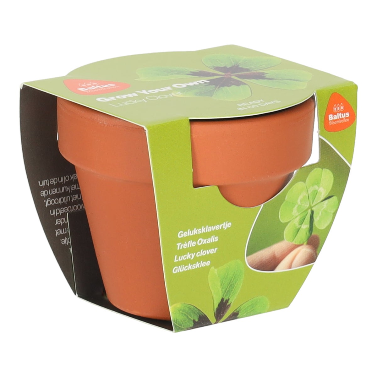 GYO klavertje vier GYO klavertje vier