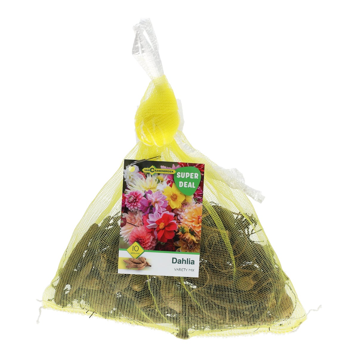 Dahlia Variaty mix per 10 Dahlia Variaty mix per 10