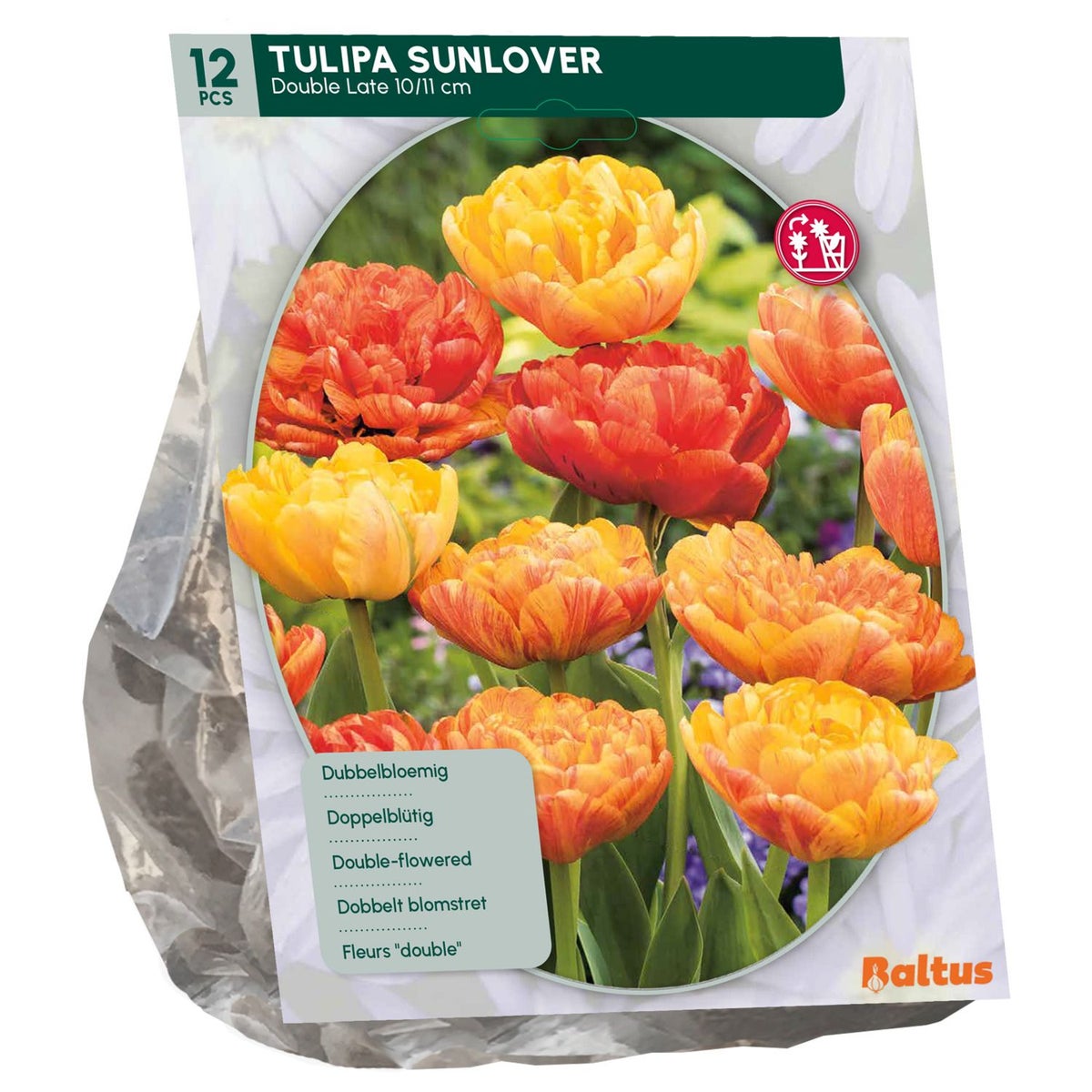 Tulipa Dubbel Laat Sunlover per 12 Tulipa Dubbel Laat Sunlover per 12
