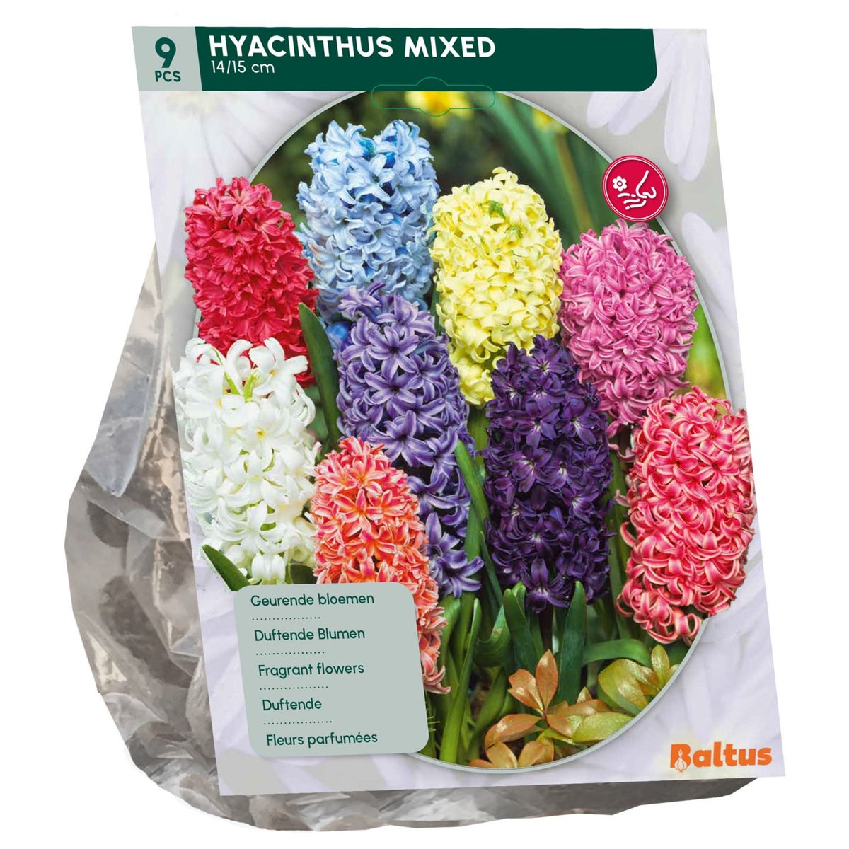 Hyacinth Mix per 9 Hyacinth Mix per 9