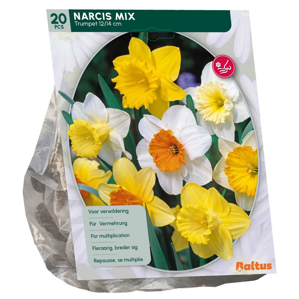Narcis Trompet Mix per 15 Narcis Trompet Mix per 15