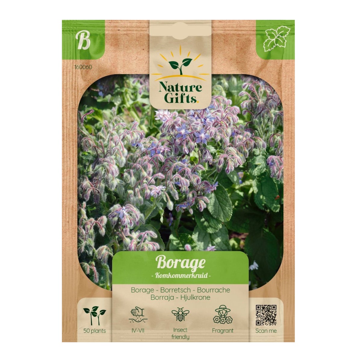 Borage komkommerkruiden Borage komkommerkruiden