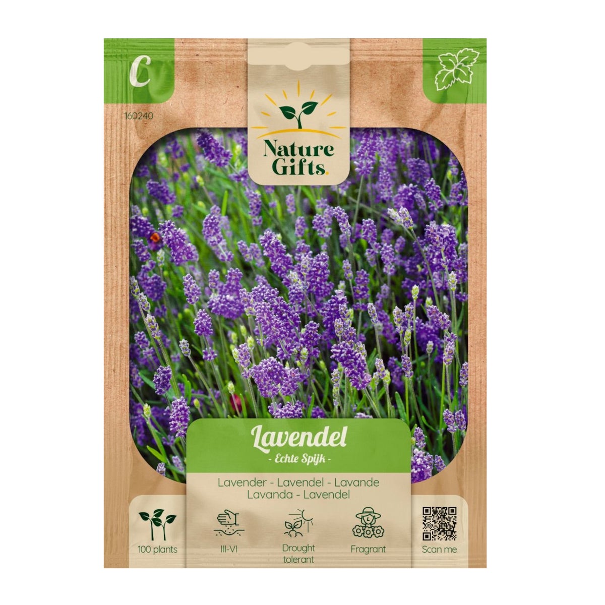 Lavendel echte Spijk Lavendel echte Spijk
