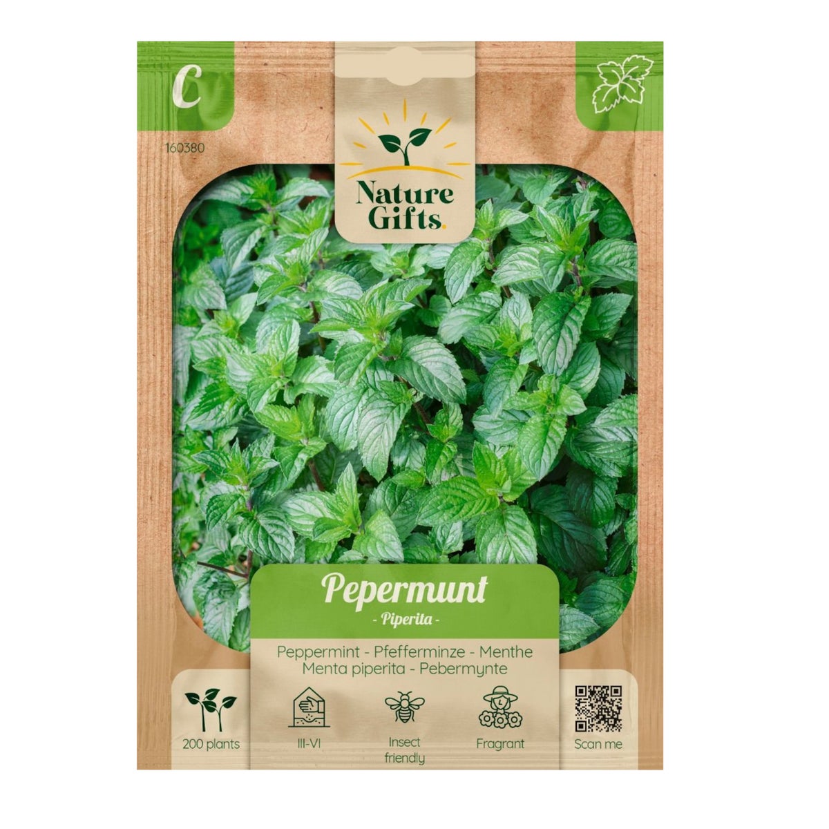 Pepermunt Piperita Pepermunt Piperita