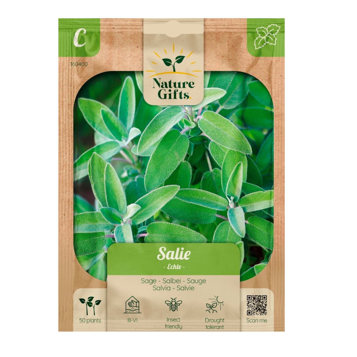 Salie echte Salvia Salie echte Salvia