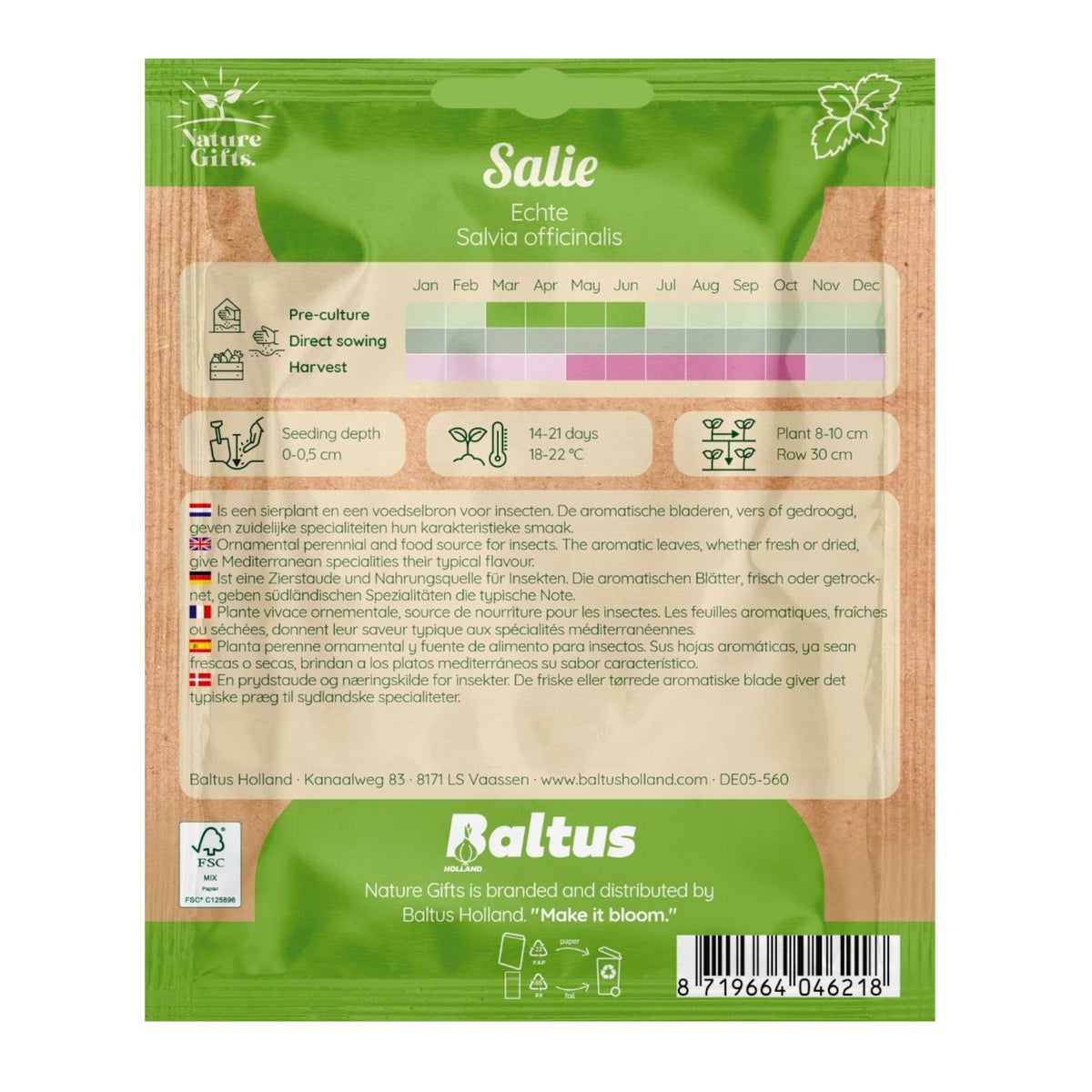 Salie echte Salvia Salie echte Salvia