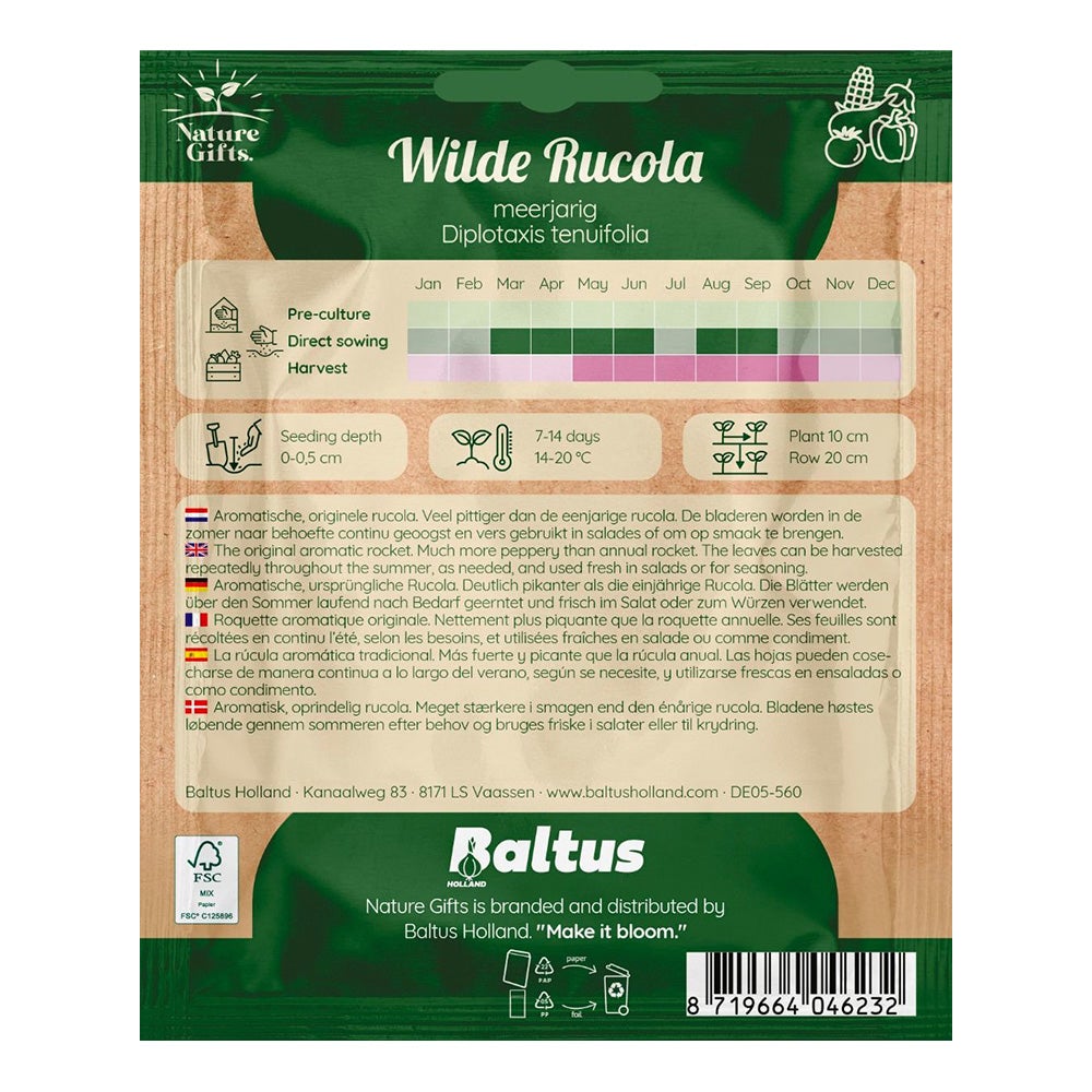 Rucola wilde Rucola wilde