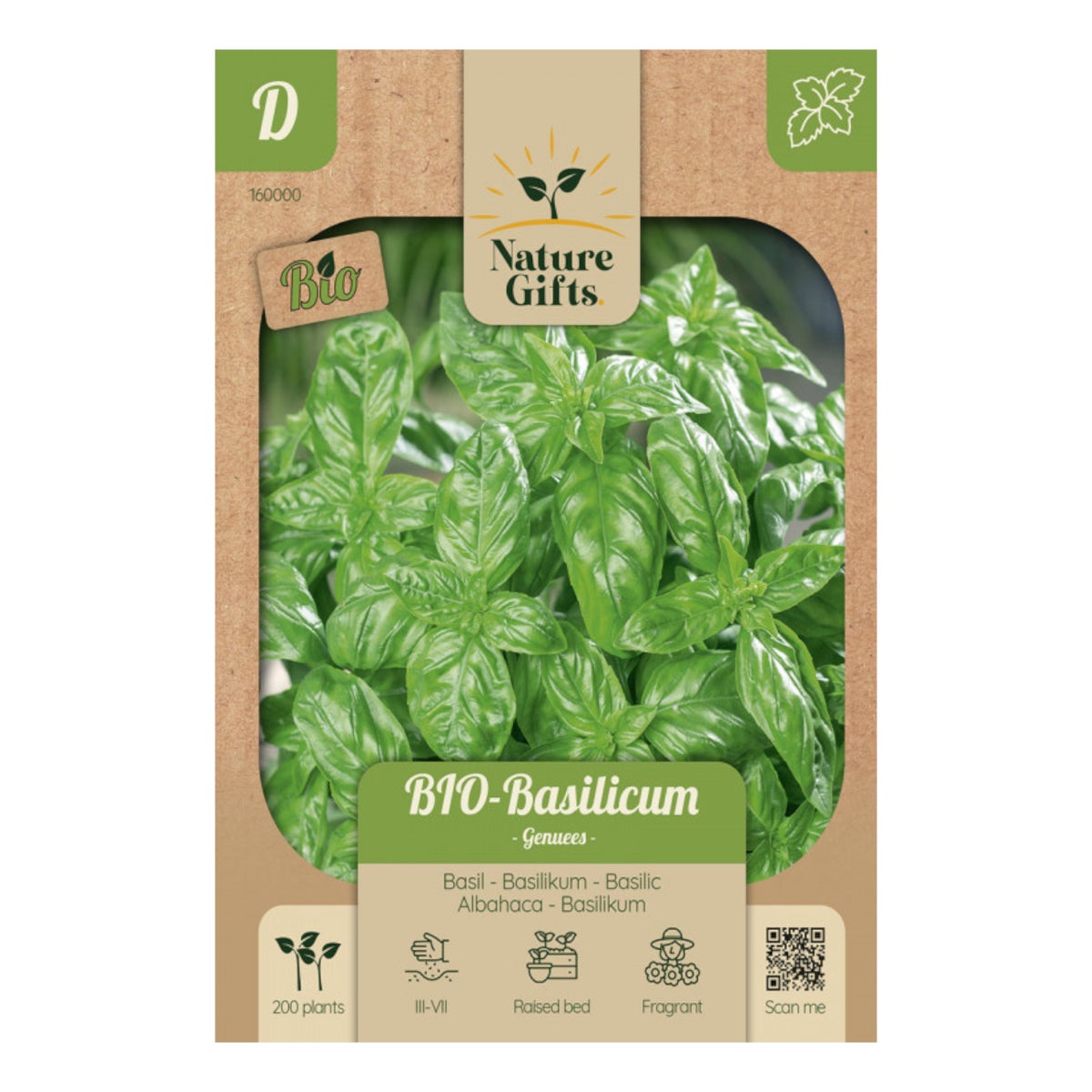 Basilicum Genuees BIO Basilicum Genuees BIO