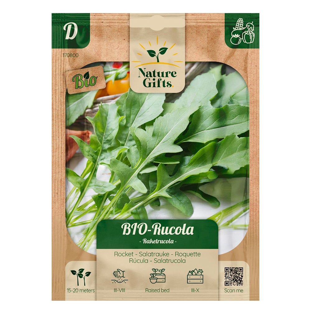 Rucola Salatrauke BIO Rucola Salatrauke BIO