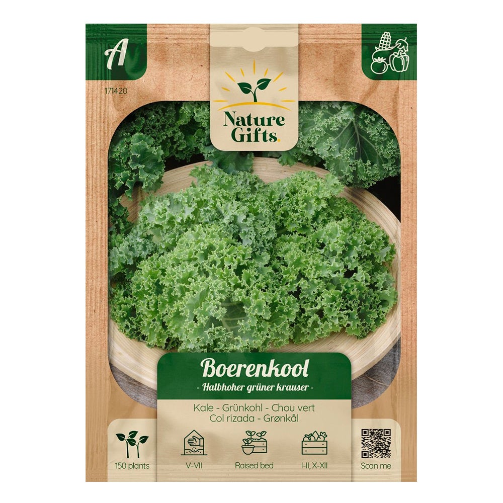 Boerenkool halfhoge Boerenkool halfhoge