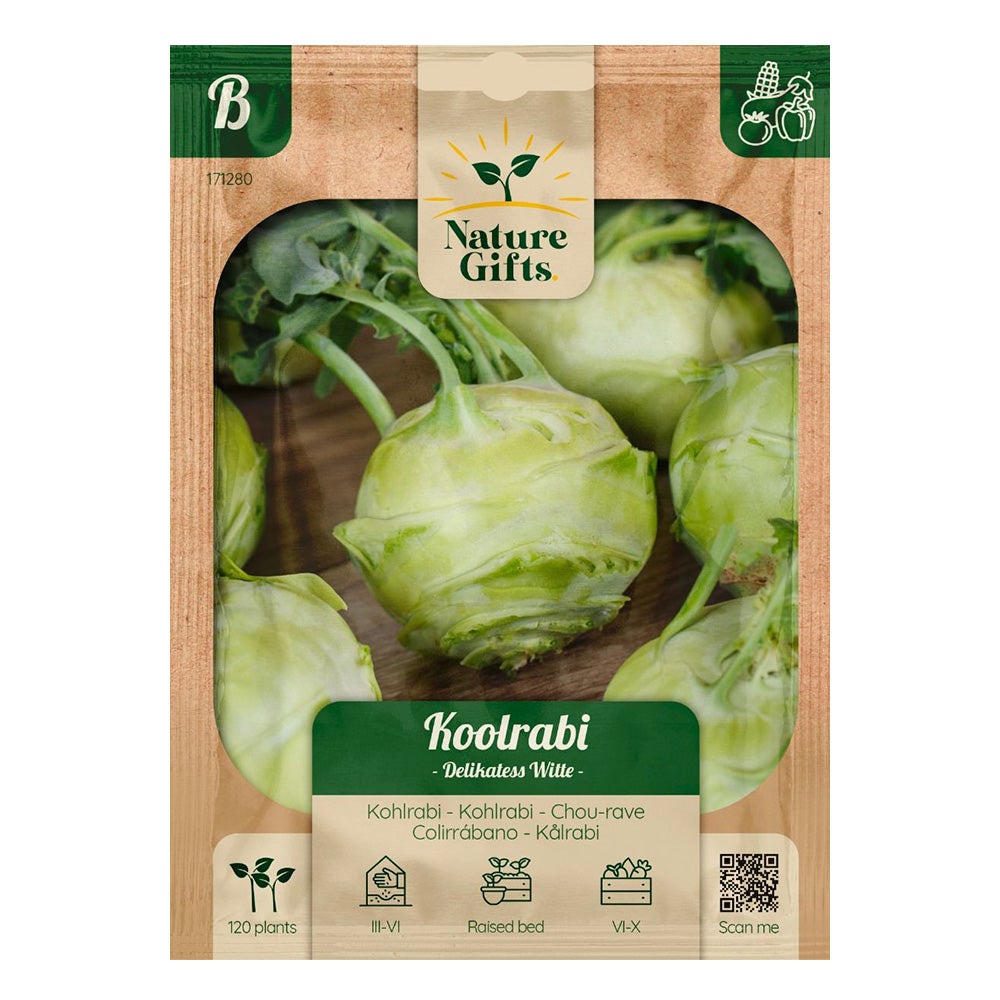 Koolrabi Delikatess witte Koolrabi Delikatess witte