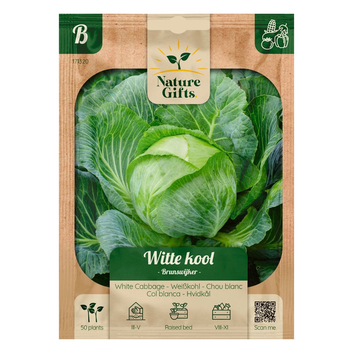 Witte kool Brunswijker Witte kool Brunswijker