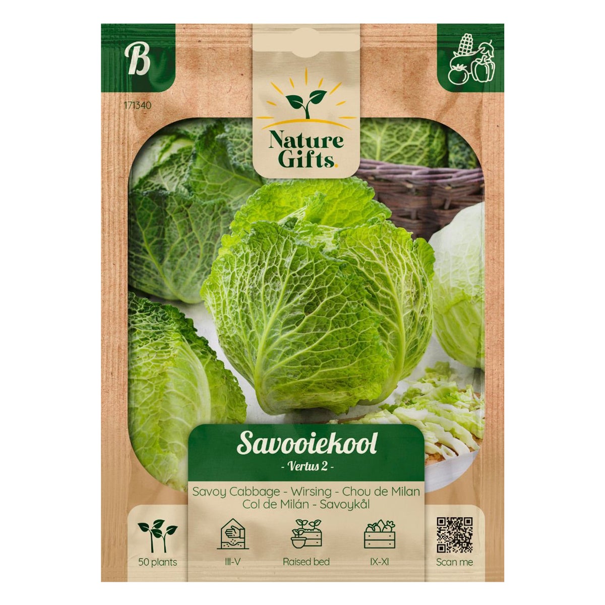 Savooikool Vertus 2 Savooikool Vertus 2