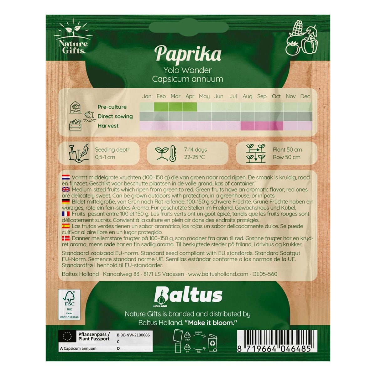 Paprika Yolo wonder Paprika Yolo wonder