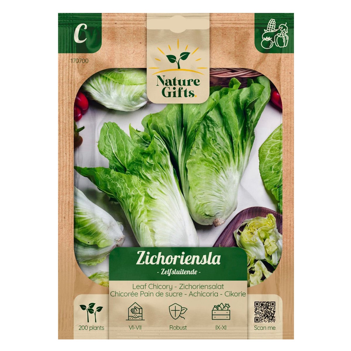 Herfstsla Zichoriensla Herfstsla Zichoriensla