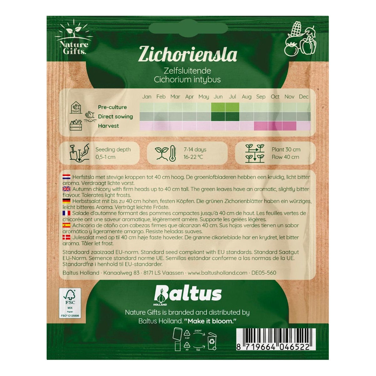 Herfstsla Zichoriensla Herfstsla Zichoriensla