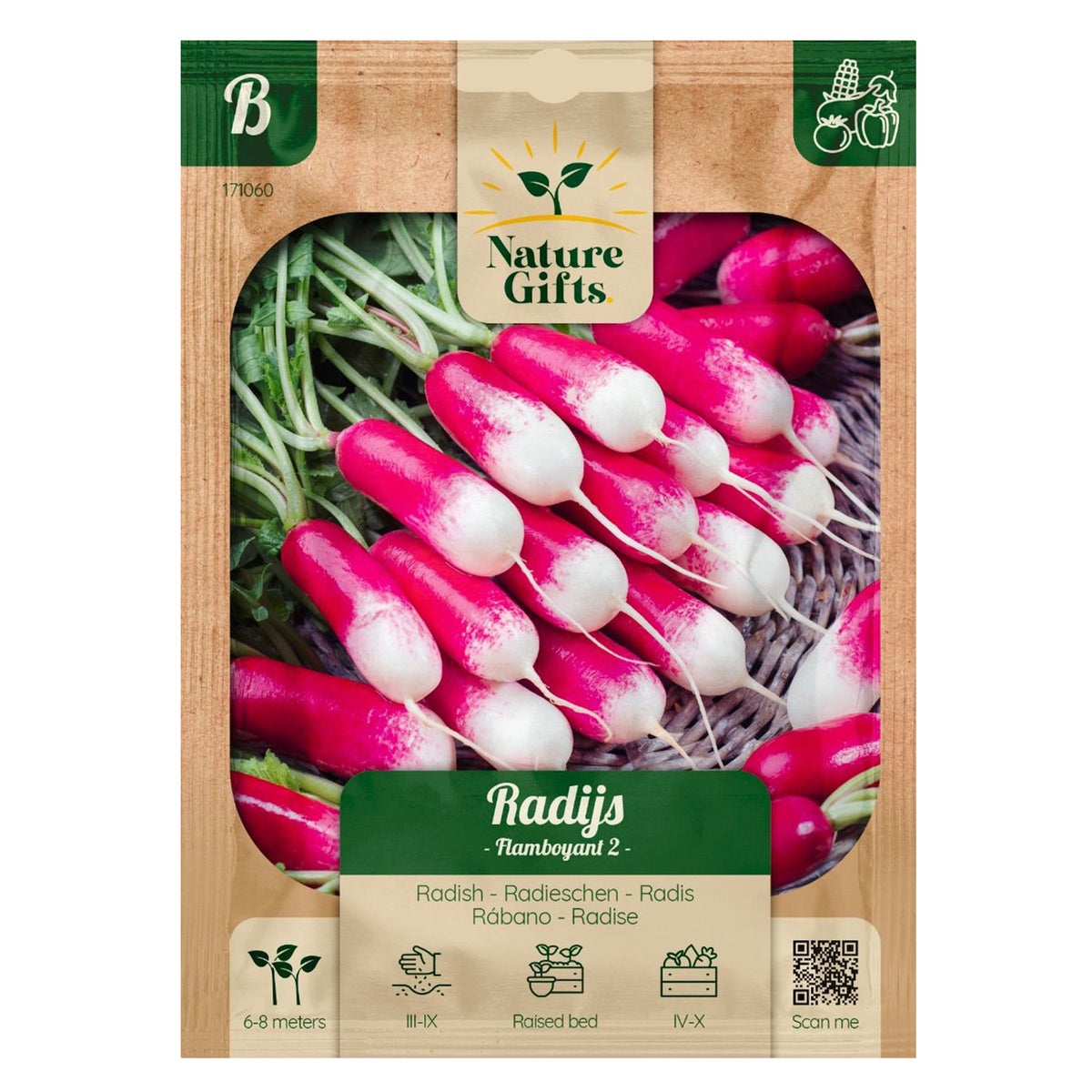 Radijs flamboyant 2 Radijs flamboyant 2