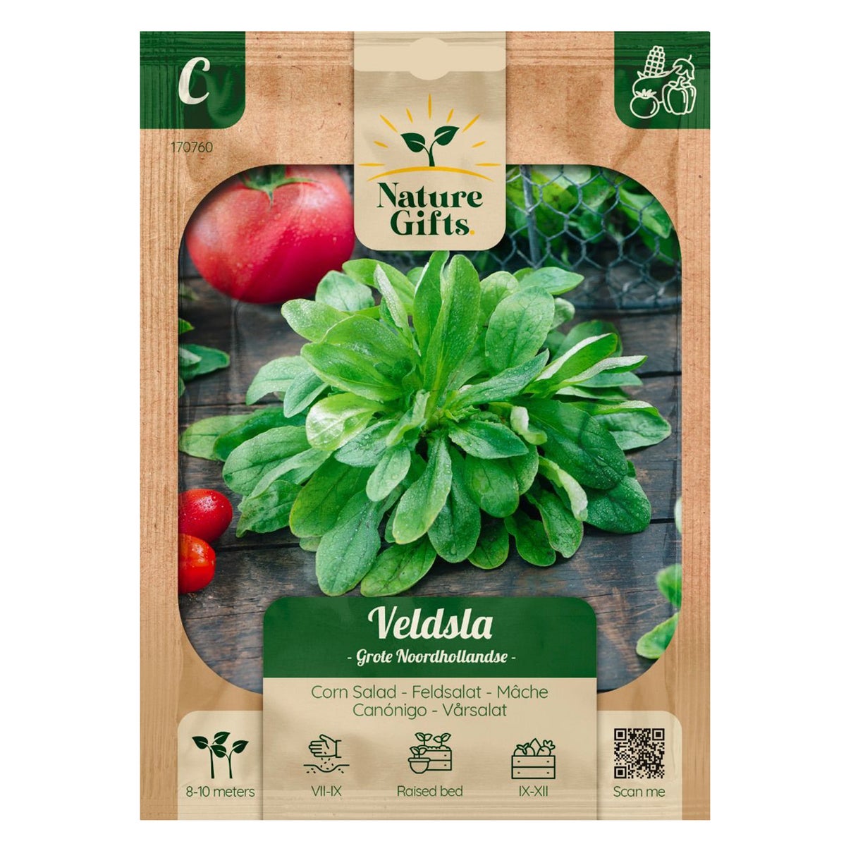 Veldsla Hollandse breedblad Veldsla Hollandse breedblad