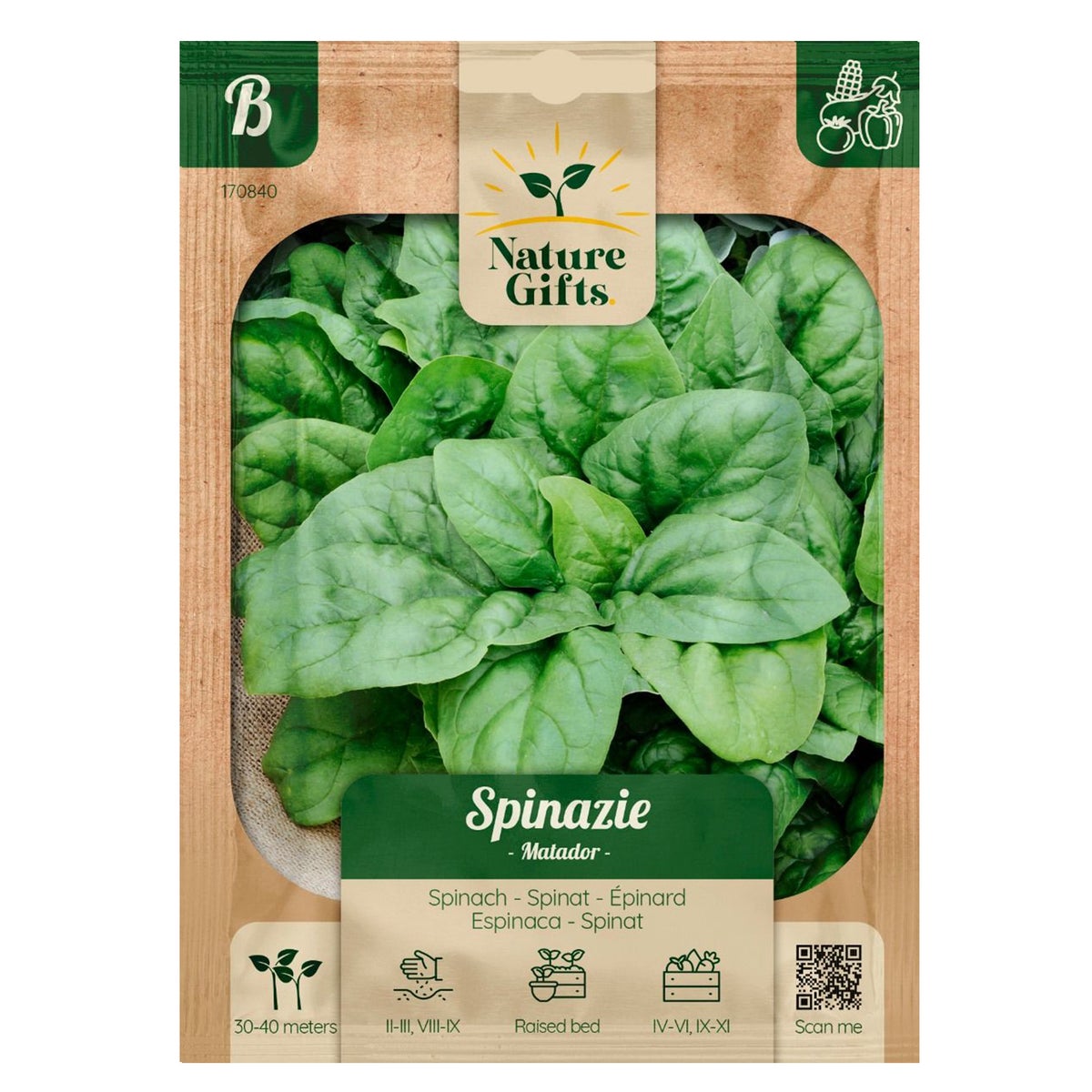 Spinazie Matador Spinazie Matador