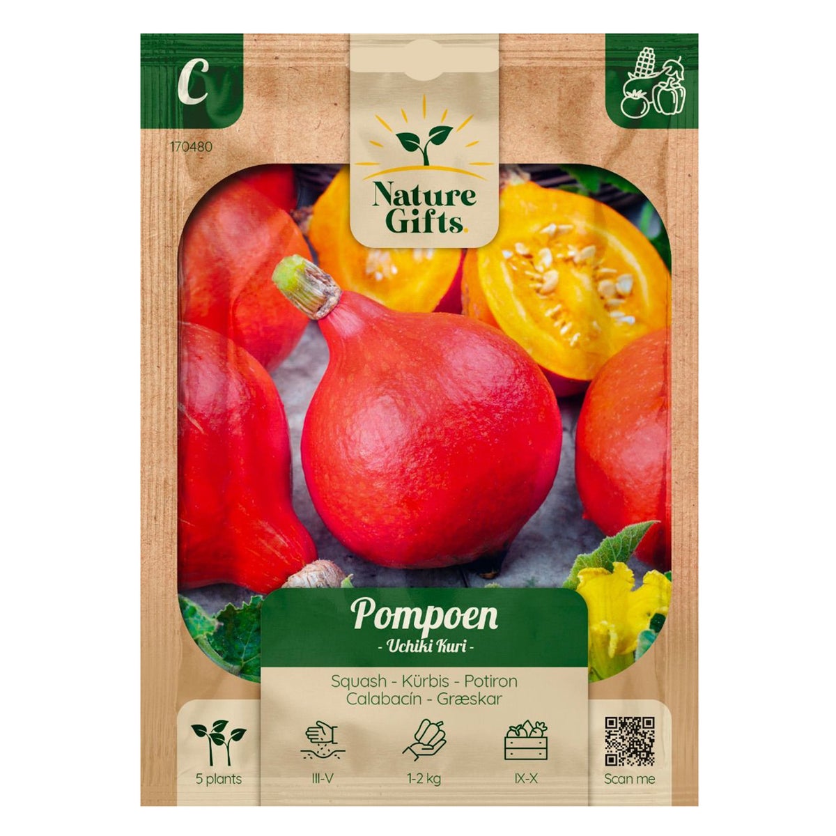 Pompoen Uchiki Kuri Pompoen Uchiki Kuri