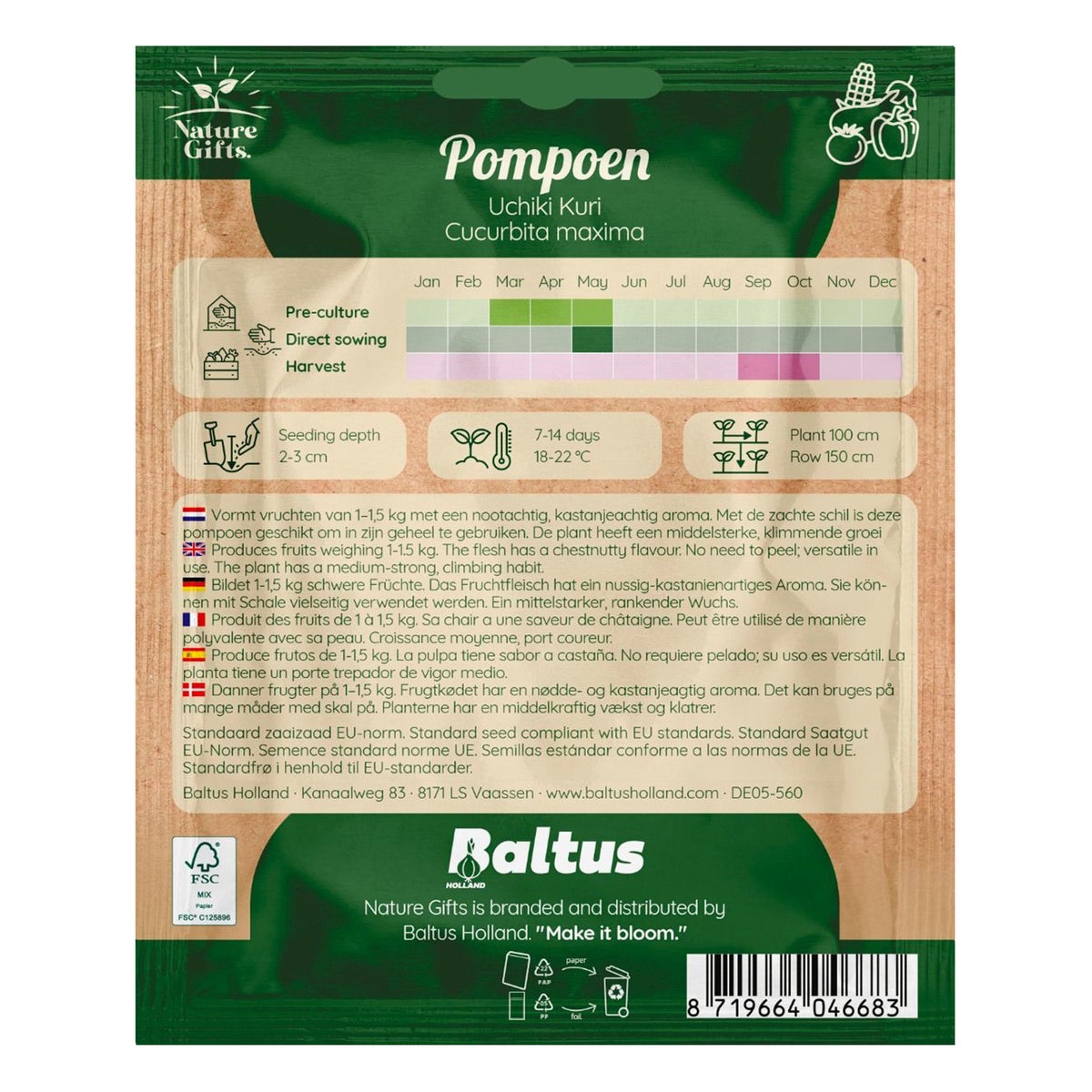 Pompoen Uchiki Kuri Pompoen Uchiki Kuri