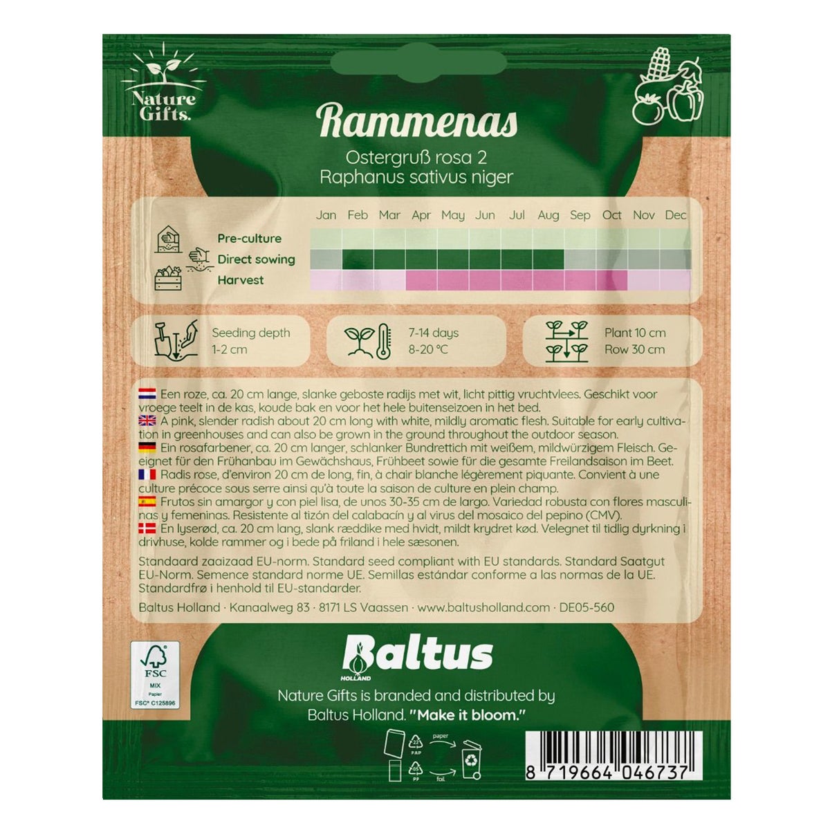 Rammenas Ostergruss Rosa Rammenas Ostergruss Rosa