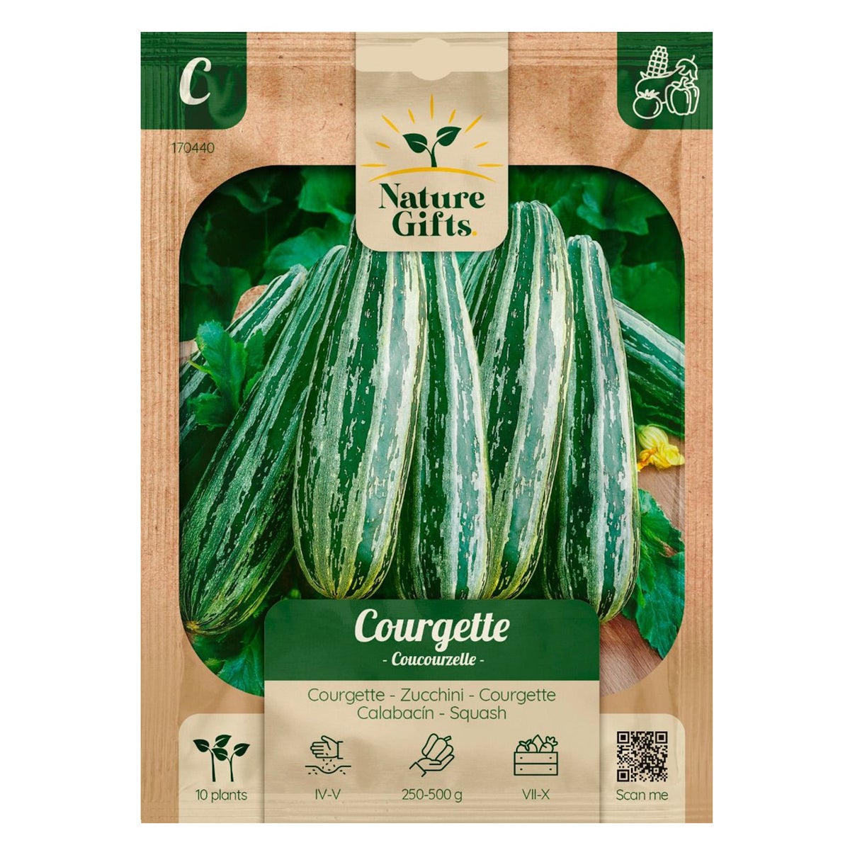 Courgette Coucourzelle Courgette Coucourzelle