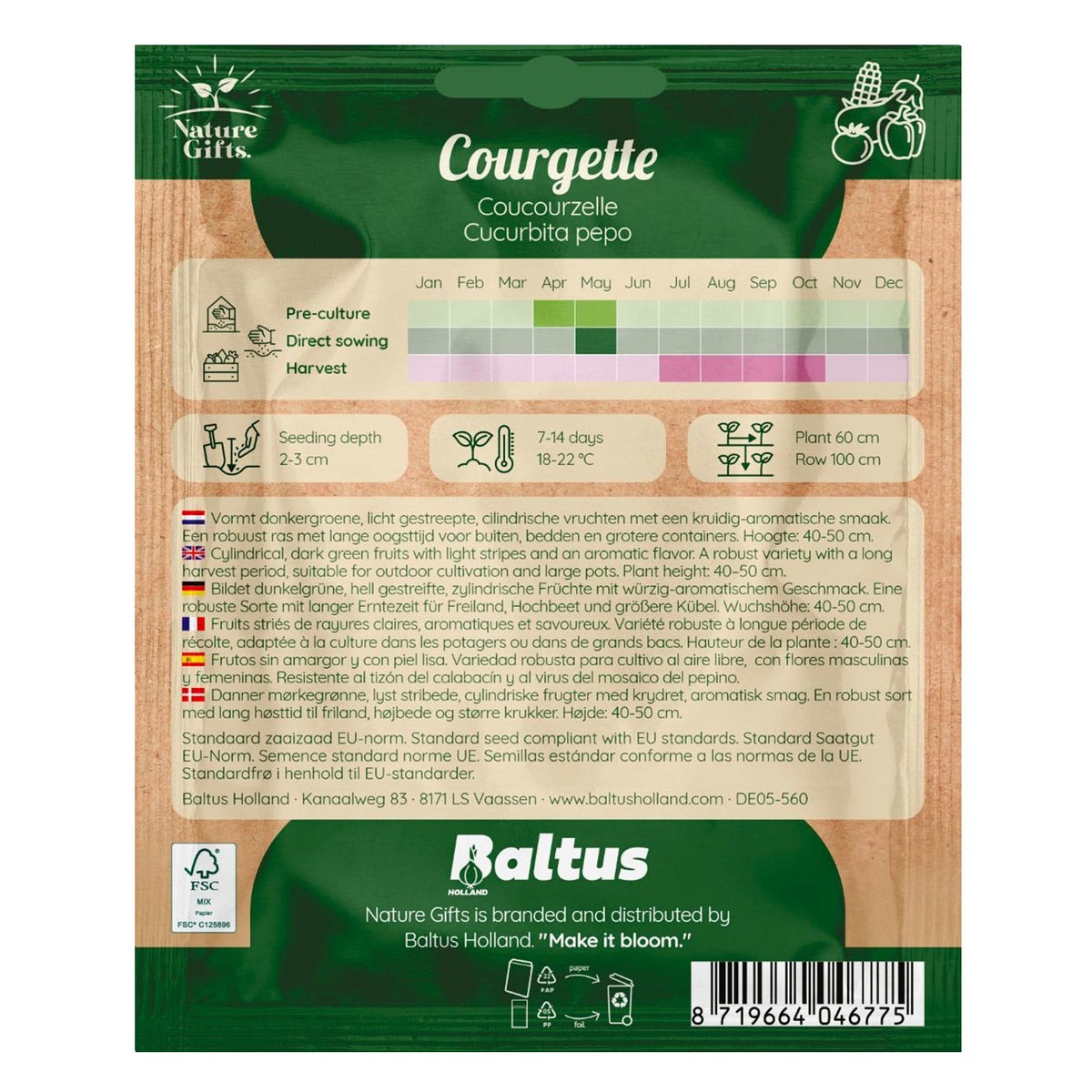 Courgette Coucourzelle Courgette Coucourzelle