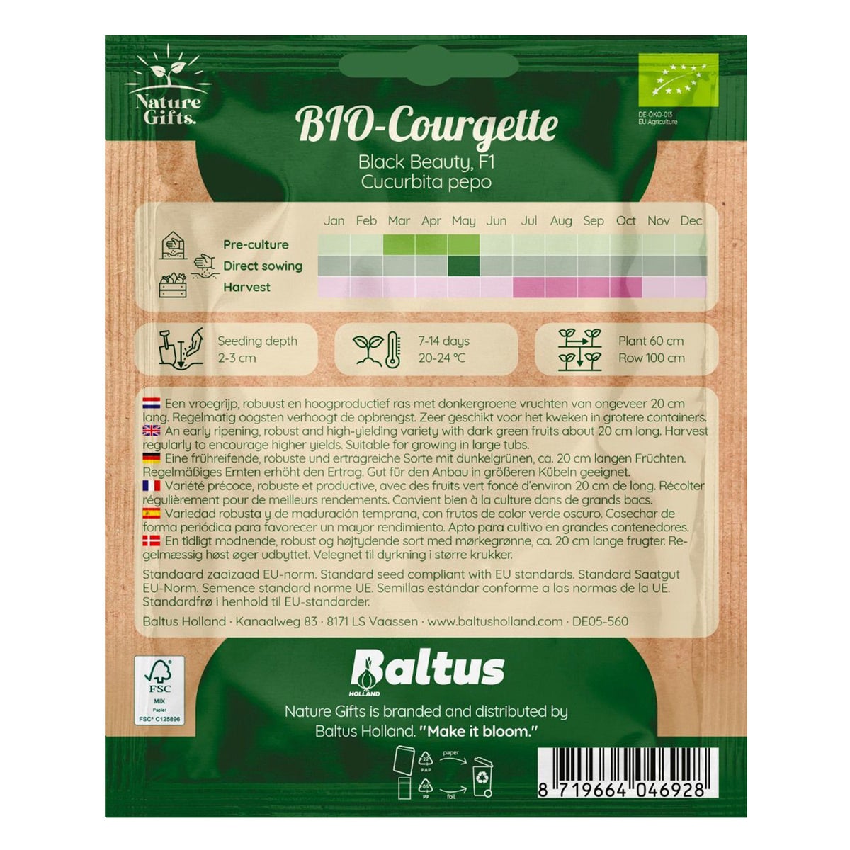 Courgette black Beauty BIO Courgette black Beauty BIO